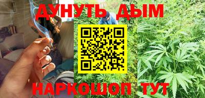 гашик Гусев