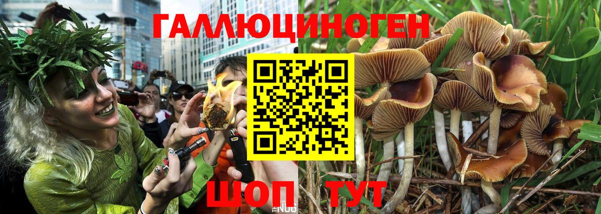 Муравленко  Псилоцибиновые грибы мицелий  Псилоцибиновые грибы MAGIC MUSHROOMS  Вход с VPN 